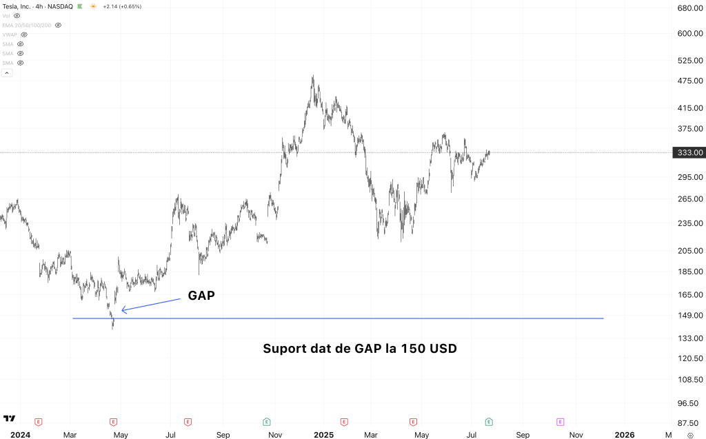 Tesla (TSLA) rezultate slabe, conform așteptărilor